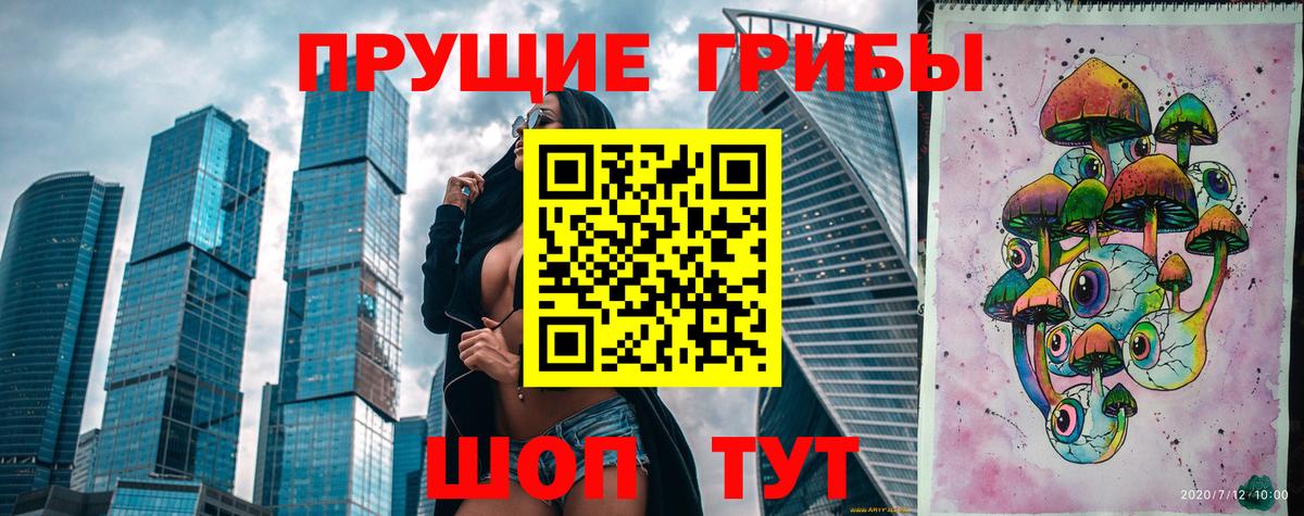 Псилоцибиновые грибы GOLDEN TEACHER Петропавловск-Камчатский